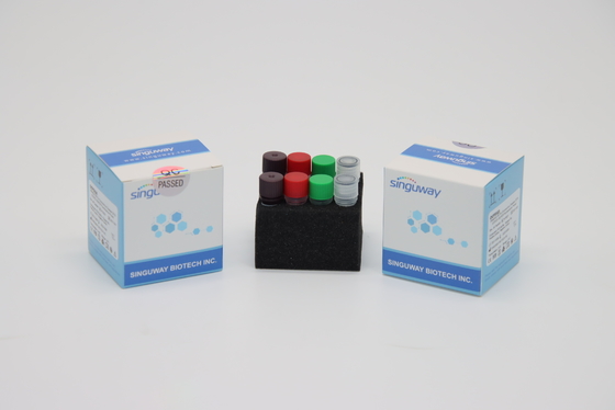 H1N1 Kuduz Virüsü RT PCR Test Kiti Koleksiyonu IVD Hastane İçin Süper Duyarlı