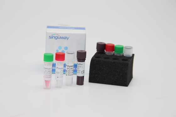 Boca Virüsü HBoV RT PCR sürüntü Test Kiti ISO9001 Kantitatif Floresan Test PCR Kiti