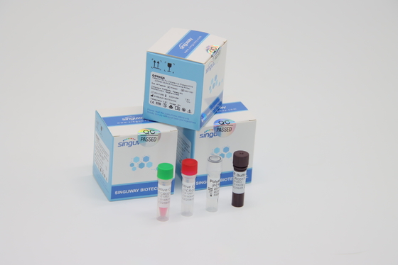 RT PCR Covid Test Kitlerini Kullanan Laboratuvar Klinik LP Virüsü PCR Ortamı İkili sürüntü Örnek Kiti