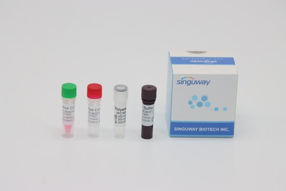 CMV Virüsü RT PCR Test Kiti Gerçek Zamanlı Nükleik Asit Testi ISO13485