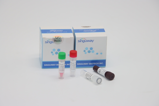 HFMD Virüs Testi için Hızlı RT PCR Test Kiti Kantitatif Floresan