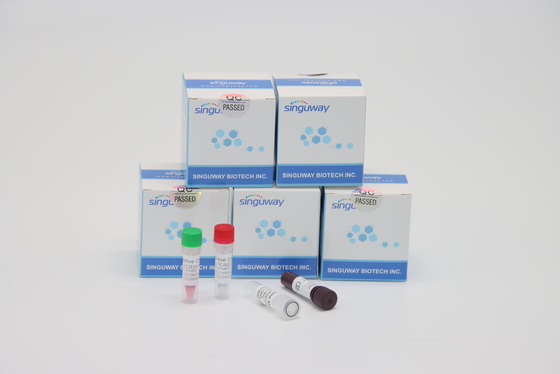TB PCR Kitini Kullanan Ultrafast Talasemi Virüsü RT PCR Test Kiti Laboratuvarı