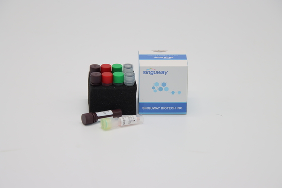 CE Bir Adım Gerçek Zamanlı PCR Kiti Hepatit B Virüsü için HSV Hızlı Test Kiti