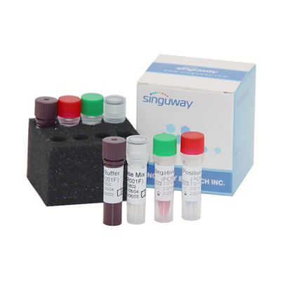 Gerçek Zamanlı Nükleik Asit Tespit Kiti Influenza PCR Kiti 48 96 Test / Kutu