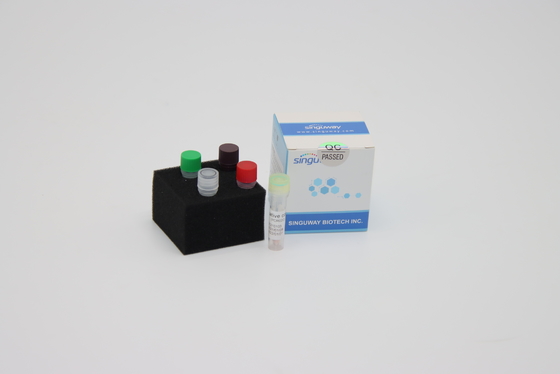 HBV HCV Real Time PCR Tespit Kiti PCR Amplifikasyon Kiti 20uL Reaksiyon Hacmi