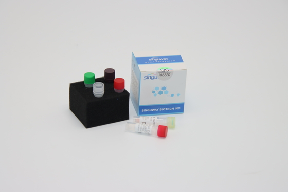 PCR için Gerekli Ultrafast Kuduz Virüsü DNA PCR Tespit Kiti Reaktifleri