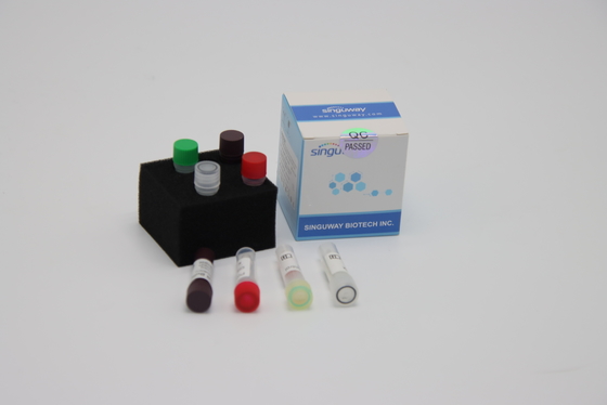 Avian Influenza Virus RT PCR Test Kiti 48 96 Testler Nazal sürüntü Test Kiti