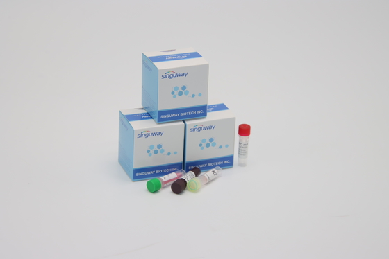 CE Coronavirüs Testi Gerçek Zamanlı PCR Teşhis Kitleri 30 Dakika İçinde Ultra Hızlı