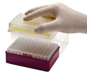 Laboratuvar Sarf Malzemesi PCR Pipet Uçları Tek Kullanımlık Mikropipet Uçları 10-1250μL