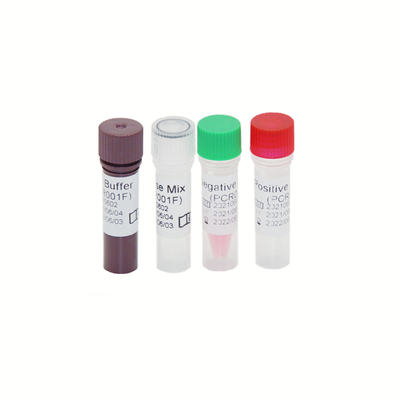 HBV HCV HIV-1 Genom RT PCR Test Kiti Yüksek Hassasiyet 30 IU/ML