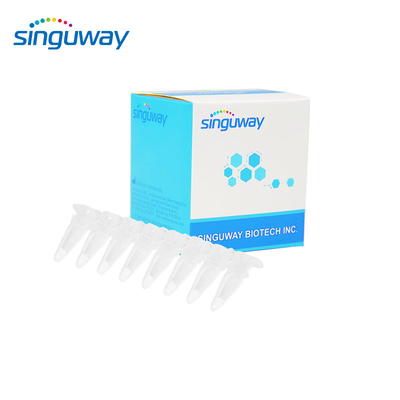 15 Tip HPV Real Time PCR Kiti 40uL İnsan İçin Kalitatif HPV PCR Kiti