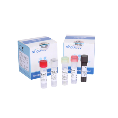 Yüksek Hassasiyetli Ultrafast RT PCR Test Kiti Floresan Probu RT PCR Tespit Kiti