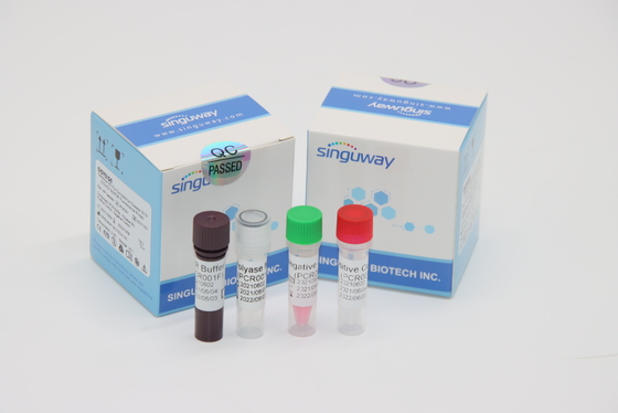 Mycobacterium Tuberculosis Virus RT PCR Teşhis Kiti 30 Dakika İçinde Burun Çubuğu
