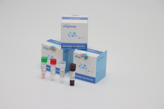 Laboratuvar Reaktifi RT PCR Test Kiti Varicella Zoster Virüsü VZV Tespiti İçin Yüksek Kararlılık