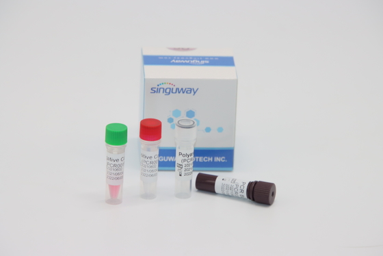 HPV Tox Virüsü İçin Kantitatif Moleküler Tanı RT PCR Test Kiti Gerçek Zamanlı