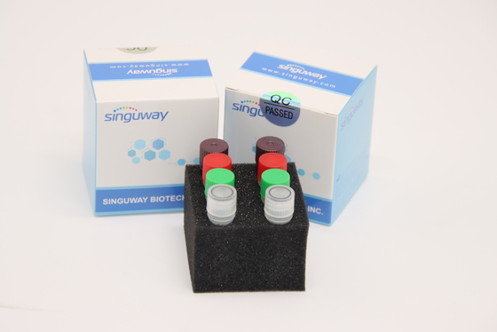 Floresan Gerçek Zamanlı HCV RT PCR Kiti HSV2 Test Kiti Laboratuvar Kullanımı CE