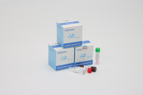 Rapid RSV Virüsü Anında RT PCR Test Kiti POCT IVD Klinik Tanı Yüksek Hassasiyet