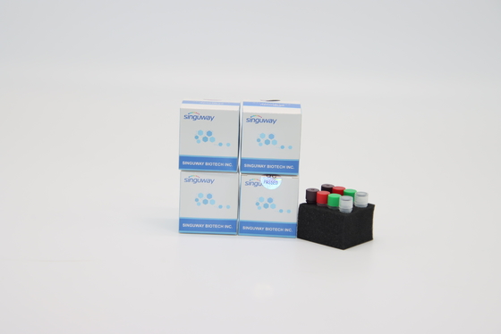 Instant HIV PCR Test Kiti POCT IVD Clinical Diagnosis Real Time PCR Tespit Kiti
