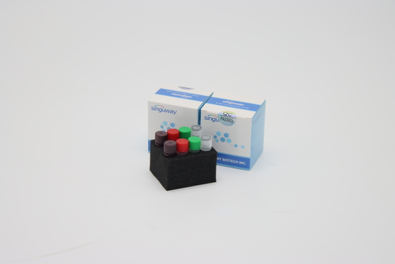 ISO9001 ISO13485 ile Genetik Test Kuduz Virüsü DNA PCR Tespit Kiti