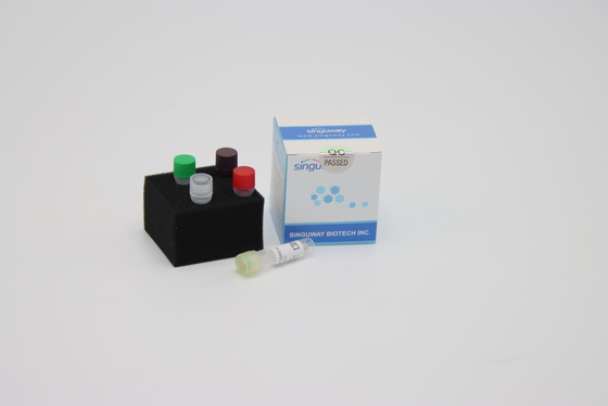 HIFi Polimeraz DNA Ters Transkripsiyon PCR Kiti RT PCR Reaktifleri Singuway