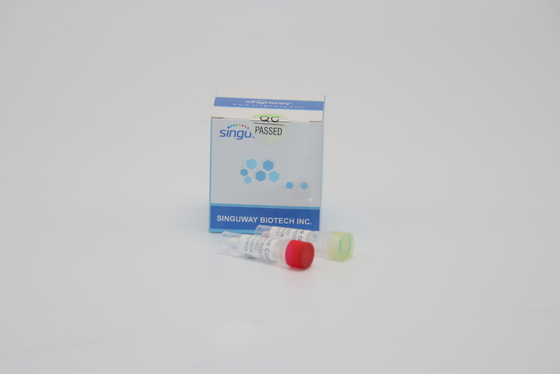 Nükleik Asit Testi Dang humması RT PCR Kiti Nazal sürüntü Floresan RT PCR Kiti