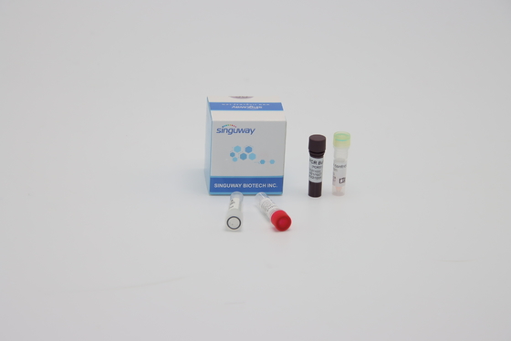Oral sürüntü Örneği Kantitatif Multiplex PCR Reaksiyon Reaktifleri ISO13485