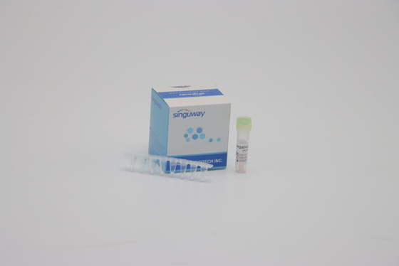 DNA Testi FluA FluB PCR Tespit Kiti Laboratuvar Kullanımı için 1 Adımlı RT PCR Kiti