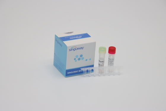 Klinik Tanı IVD Real Time PCR Reaktifleri Floresan Problama Tek Adımlı PCR Kiti