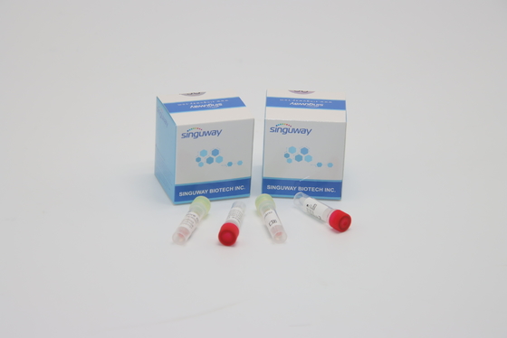 CE PCR sürüntü Test Kiti Hepatit B ve C Test Kitleri Klinik Tanı