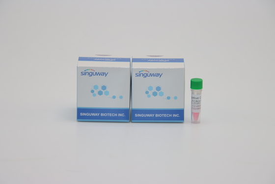 Helicobacter Pylori HP için Yüksek Hassasiyetli Hızlı Bir Adım RT PCR Kiti Laboratuvar Reaktifi