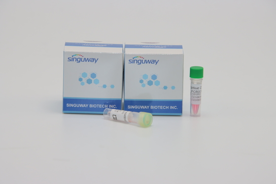 Genetik Test için Singuway HSV II Virüs PCR Tespit Kiti Kantitatif Floresan