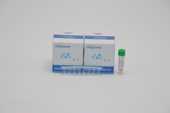 Laboratuvar POCT IVD Mycobacterium Tuberculosis TB PCR Tespit Kiti DNA Testi ISO9001