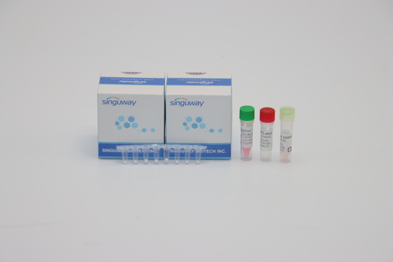 Grip A Grip B Bir Adım Gerçek Zamanlı PCR Kiti Yüksek Hassasiyetli 96 Test HIV PCR Test Kiti