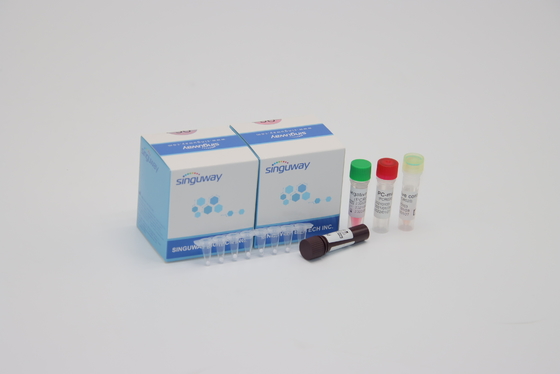 Solunum Sinsityal Viral RT PCR Tanı Kiti RSV PCR Tespit Kiti Nazal sürüntü