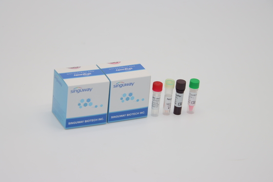 Alfa Beta Delta Gama Mutasyonları Laboratuvar Kullanımı İçin Bir Adım QPCR Kiti Oral sürüntü