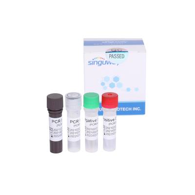 Singuway Coronavirüs Hızlı RT PCR Test Kiti AÇIK Gen Tespiti Floresan Probu