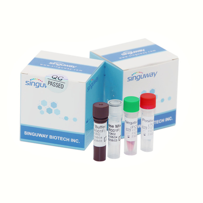 Nazal sürüntü Covid Omicron Mutation PCR Tespit Kiti Moleküler Tanı Testi